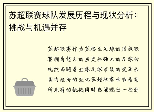 苏超联赛球队发展历程与现状分析:挑战与机遇并存